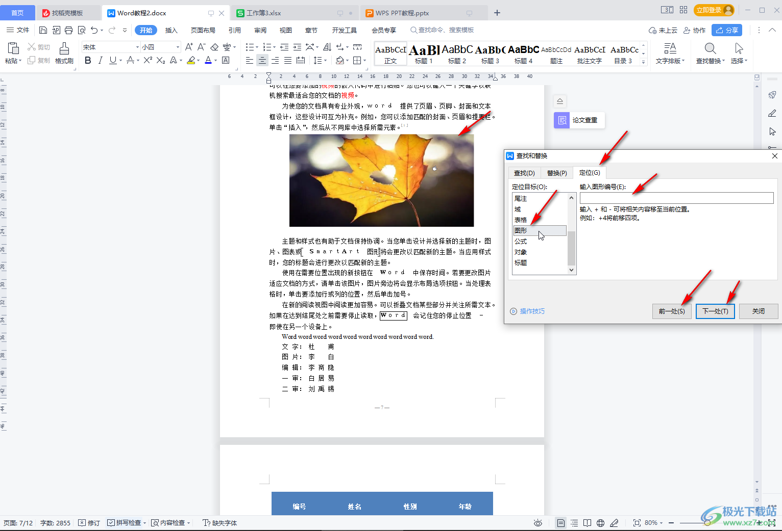 WPS查找全攻略：Mac用户快速定位与替换内容