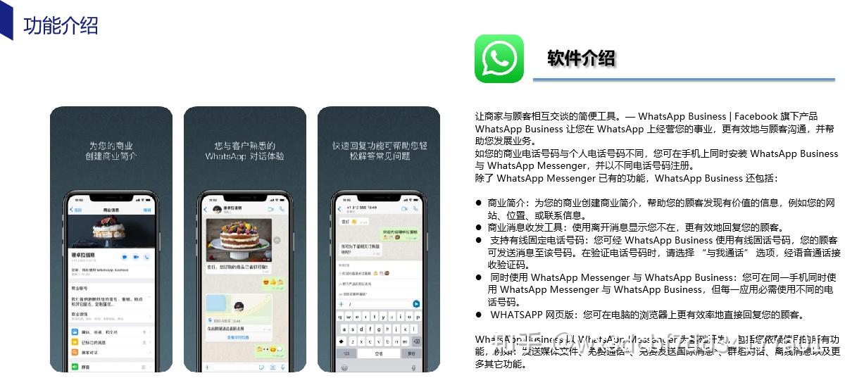 WPS群发终极指南:2025年Mac用户必看的WhatsApp营销策略与技巧