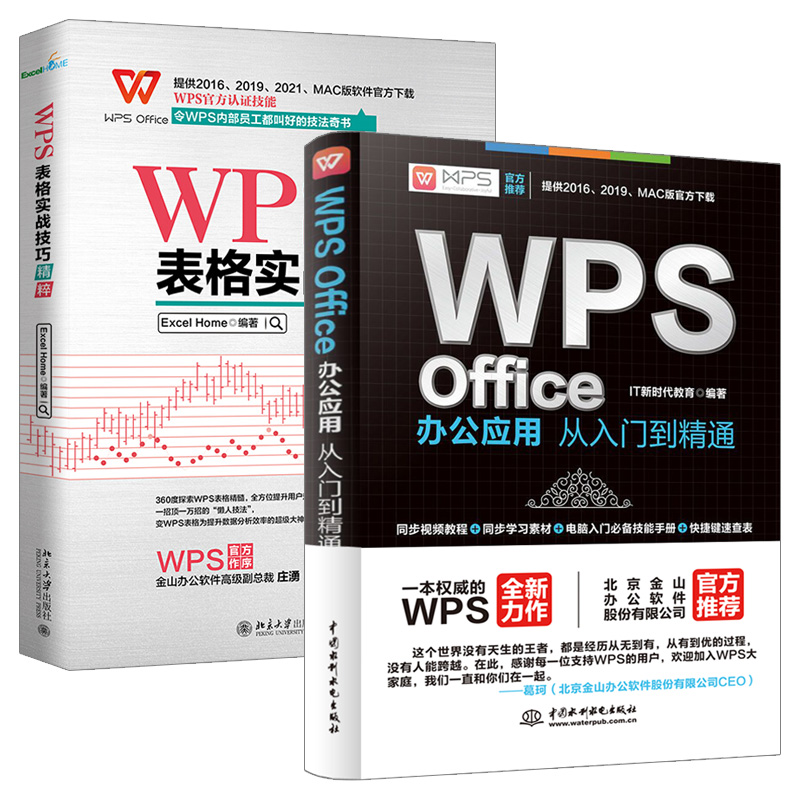 精通流程图制作：WPS Office实战指南