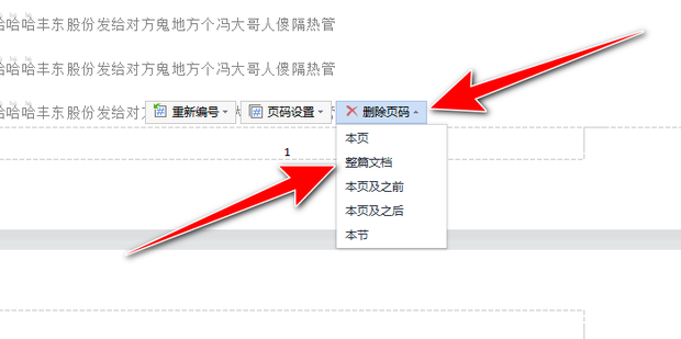 WPS删除页码终极教程：从入门到精通